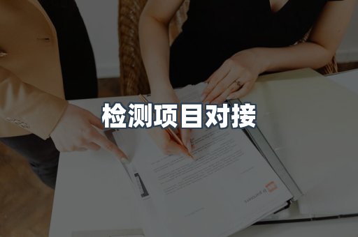 检测项目对接